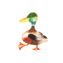 Load image into Gallery viewer, Mr. Duck Print