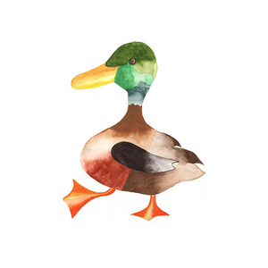 Mr. Duck Print