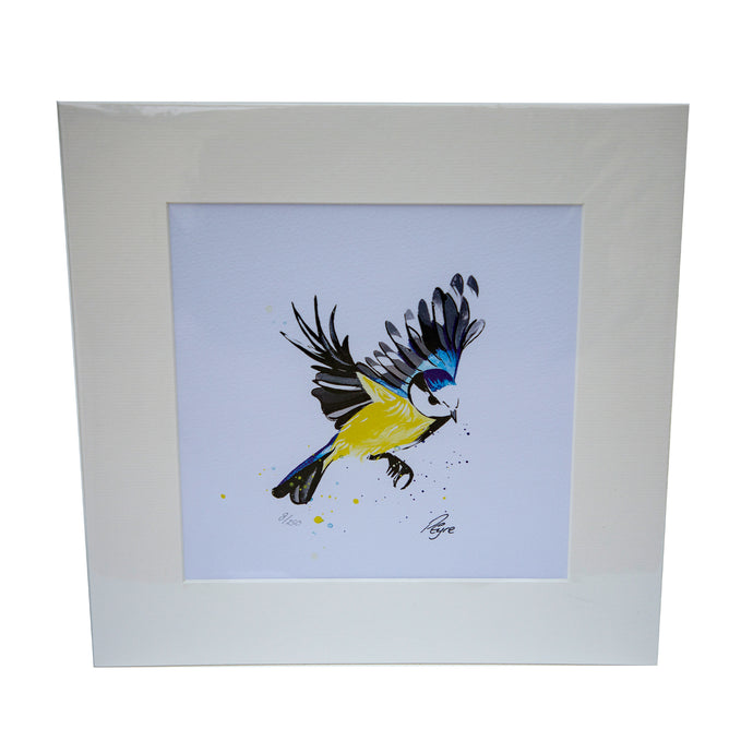 Limited edition print  - Blue Tit in flight