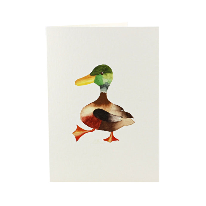 Mr. Duck Card