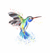 Load image into Gallery viewer, Hummingbird Print