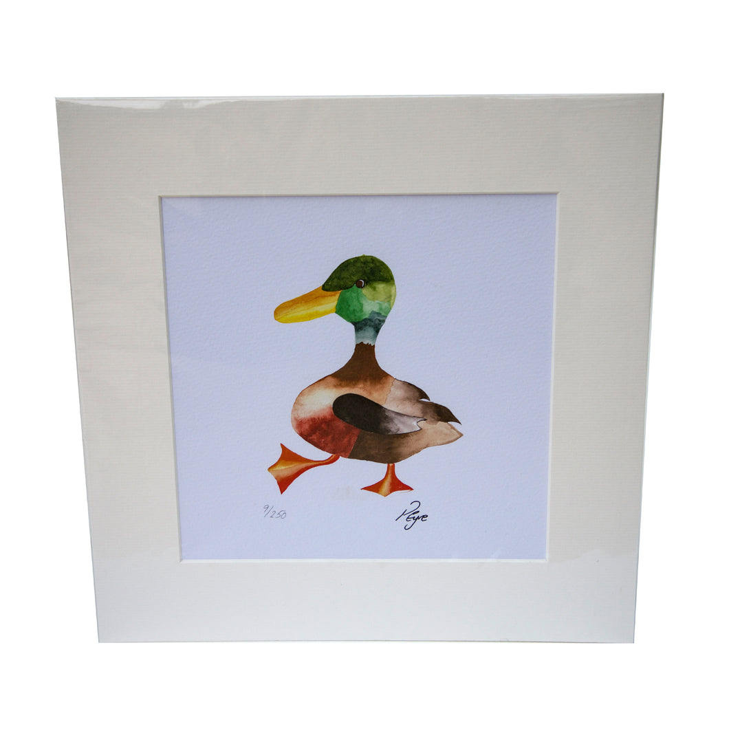 Mr. Duck Print